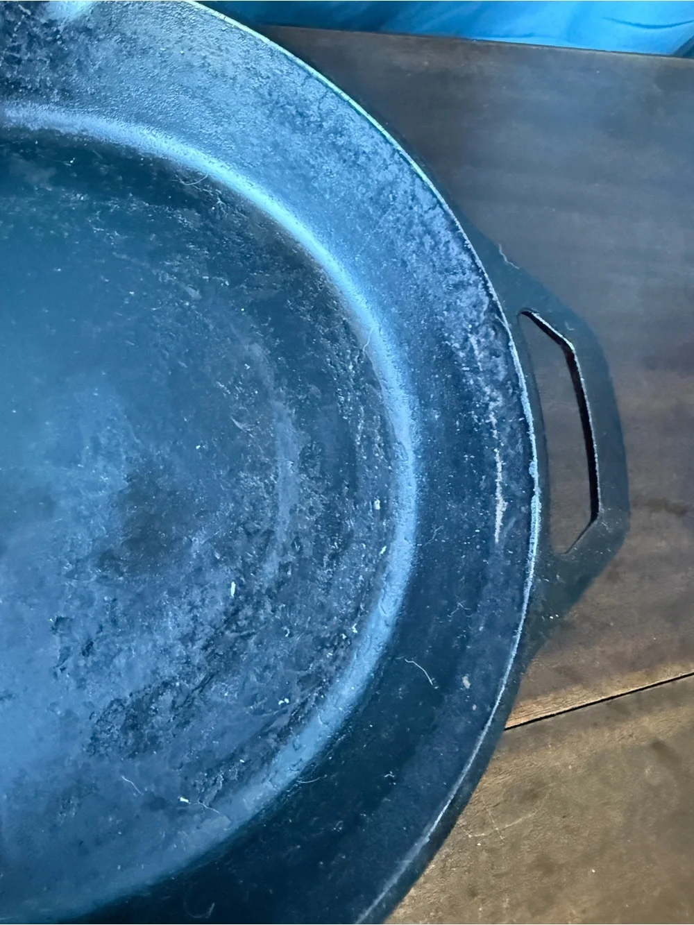 Lodge 10SK Cast Iron Skillet 12